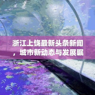 浙江上饶最新头条新闻，城市新动态与发展瞩目亮点