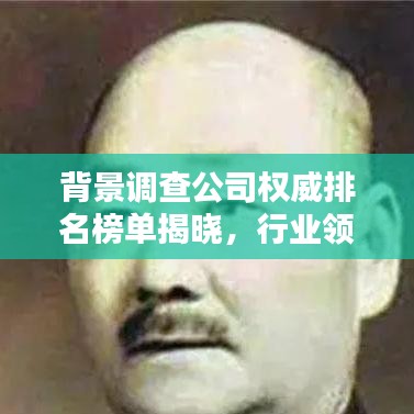 背景调查公司权威排名榜单揭晓，行业领导者一览无余！