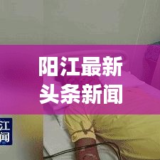 阳江最新头条新闻，揭秘城市发展的强劲脉搏