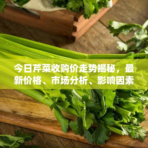 今日芹菜收购价走势揭秘，最新价格、市场分析、影响因素全解析
