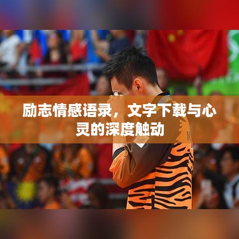 励志情感语录，文字下载与心灵的深度触动