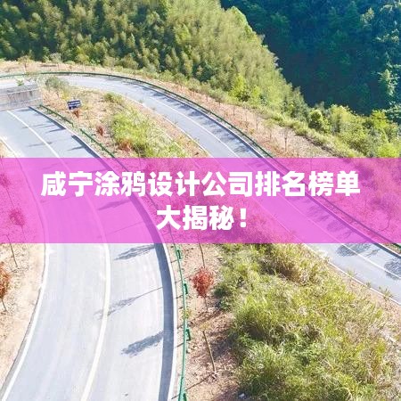 咸宁涂鸦设计公司排名榜单大揭秘！