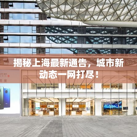 揭秘上海最新通告，城市新动态一网打尽！