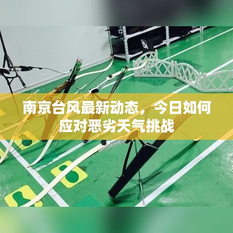 南京台风最新动态，今日如何应对恶劣天气挑战