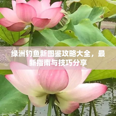 绿洲钓鱼新图鉴攻略大全，最新指南与技巧分享