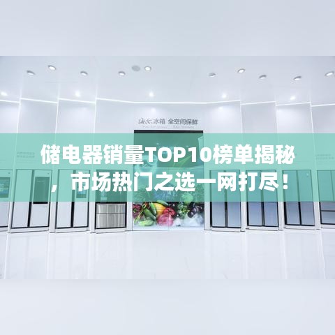 储电器销量TOP10榜单揭秘，市场热门之选一网打尽！