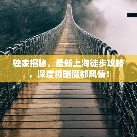 独家揭秘，最新上海徒步攻略，深度领略魔都风情！