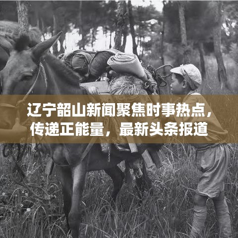 辽宁韶山新闻聚焦时事热点，传递正能量，最新头条报道