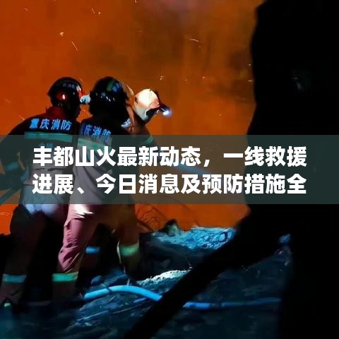 丰都山火最新动态，一线救援进展、今日消息及预防措施全解析