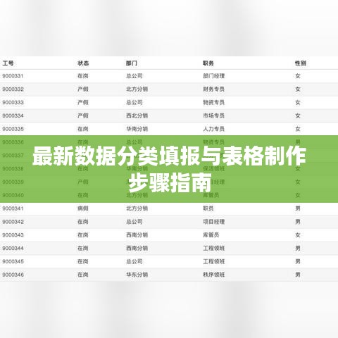 最新数据分类填报与表格制作步骤指南