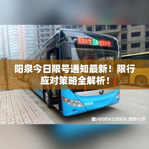 阳泉今日限号通知最新！限行应对策略全解析！
