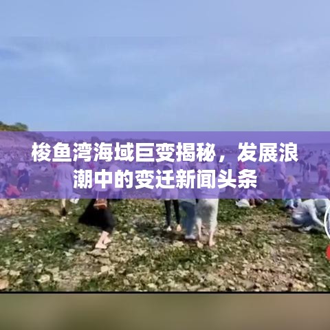 梭鱼湾海域巨变揭秘，发展浪潮中的变迁新闻头条