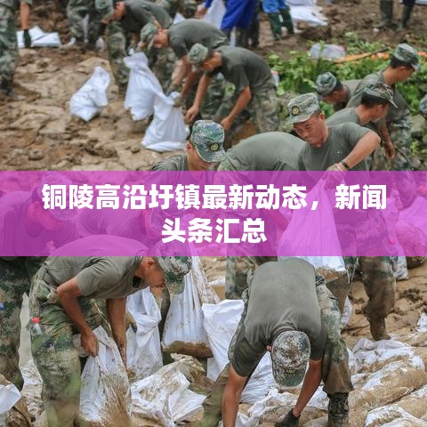 铜陵高沿圩镇最新动态，新闻头条汇总
