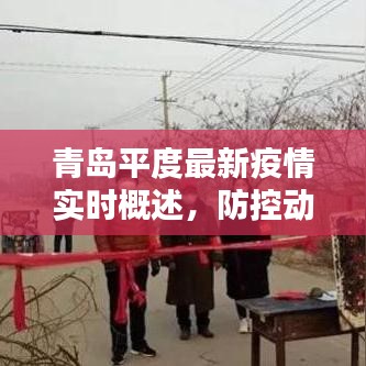 青岛平度最新疫情实时概述，防控动态一网打尽