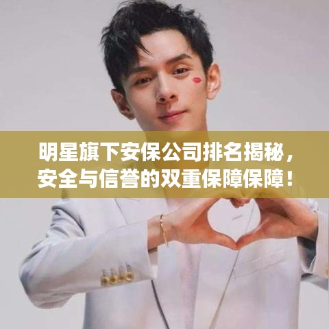 明星旗下安保公司排名揭秘，安全与信誉的双重保障保障！
