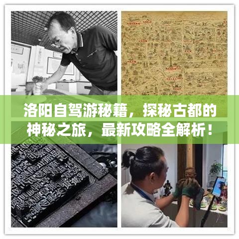 2025年5月4日 第8页