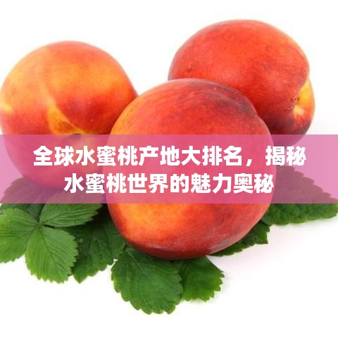 全球水蜜桃产地大排名，揭秘水蜜桃世界的魅力奥秘