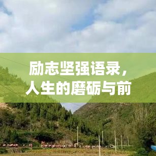 励志坚强语录，人生的磨砺与前行之路