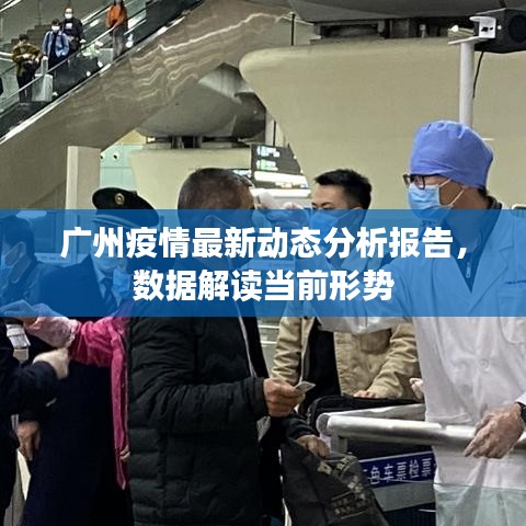 广州疫情最新动态分析报告，数据解读当前形势