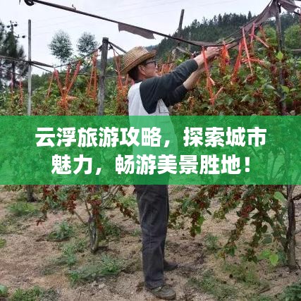 云浮旅游攻略，探索城市魅力，畅游美景胜地！