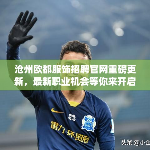 沧州欧都服饰招聘官网重磅更新，最新职业机会等你来开启新篇章