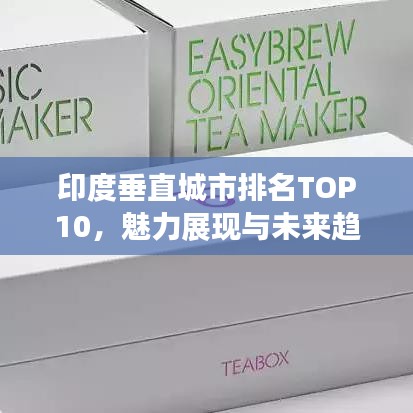 印度垂直城市排名TOP10，魅力展现与未来趋势探索