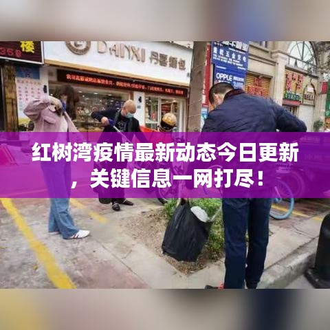 红树湾疫情最新动态今日更新，关键信息一网打尽！