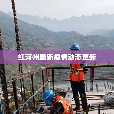 红河州最新疫情动态更新