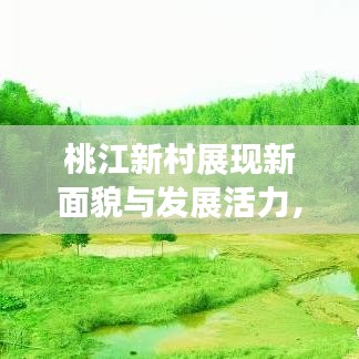 桃江新村展现新面貌与发展活力，乡村新闻头条揭示蜕变之路