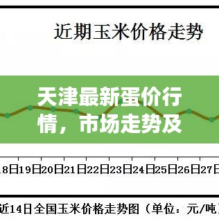 天津最新蛋价行情，市场走势及影响因素深度解析