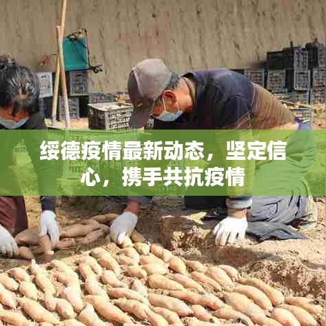 绥德疫情最新动态，坚定信心，携手共抗疫情