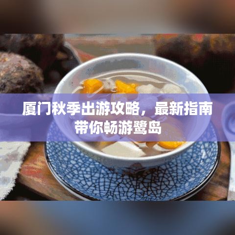 厦门秋季出游攻略，最新指南带你畅游鹭岛