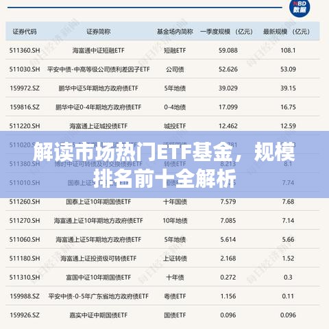 2025年5月5日 第8页