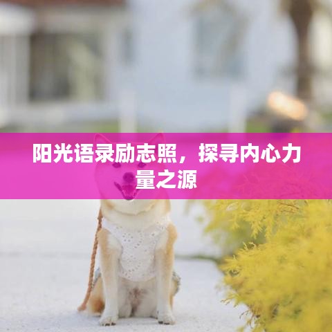 阳光语录励志照，探寻内心力量之源