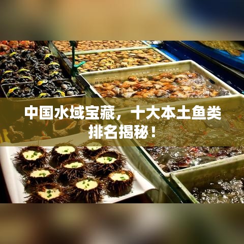中国水域宝藏，十大本土鱼类排名揭秘！