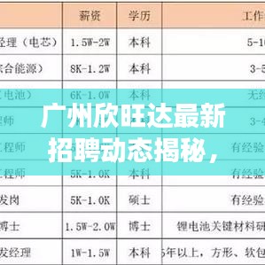 广州欣旺达最新招聘动态揭秘，企业人才发展的巨大潜力探索