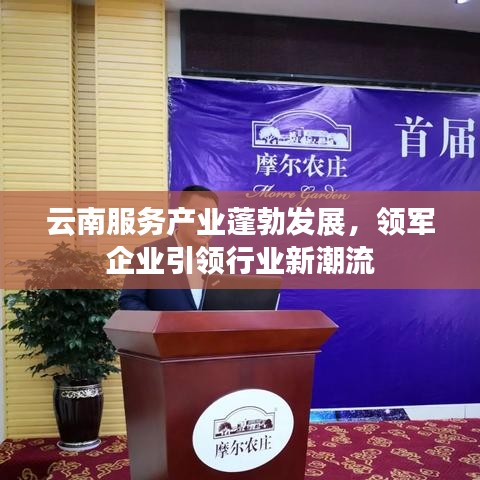 云南服务产业蓬勃发展，领军企业引领行业新潮流