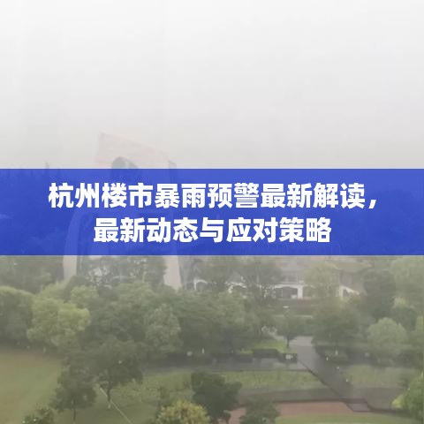 杭州楼市暴雨预警最新解读，最新动态与应对策略