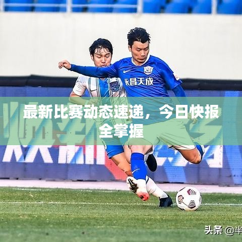 最新比赛动态速递，今日快报全掌握