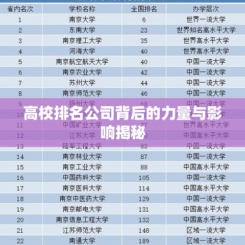 高校排名公司背后的力量与影响揭秘