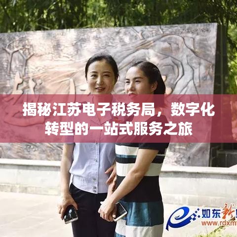 揭秘江苏电子税务局，数字化转型的一站式服务之旅