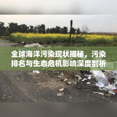 全球海洋污染现状揭秘，污染排名与生态危机影响深度剖析