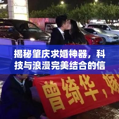 揭秘肇庆求婚神器，科技与浪漫完美结合的信息查询系统！