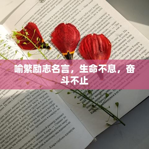 喻繁励志名言，生命不息，奋斗不止