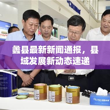 蠡县最新新闻通报，县域发展新动态速递