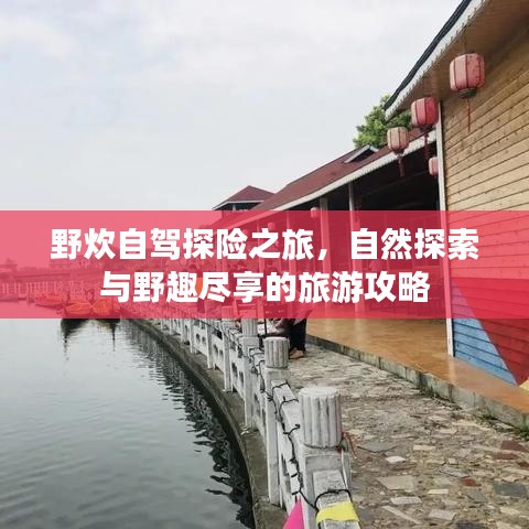 野炊自驾探险之旅，自然探索与野趣尽享的旅游攻略