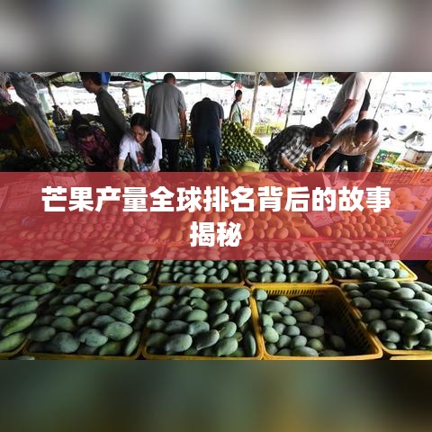 芒果产量全球排名背后的故事揭秘