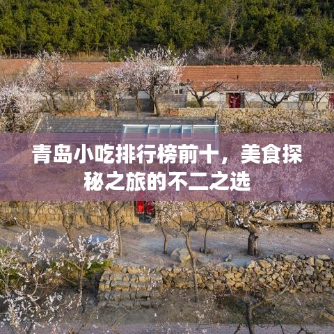 青岛小吃排行榜前十，美食探秘之旅的不二之选