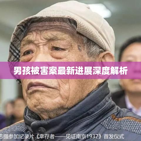 男孩被害案最新进展深度解析