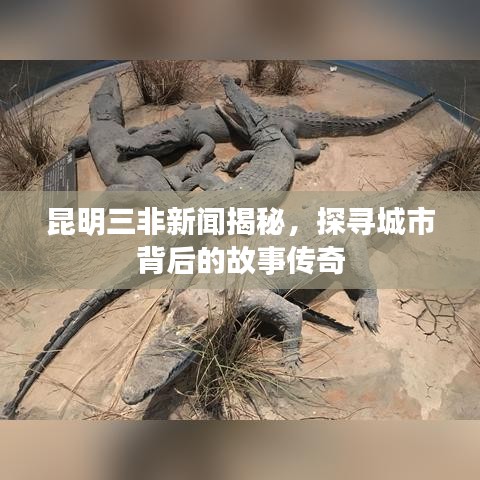 昆明三非新闻揭秘，探寻城市背后的故事传奇
